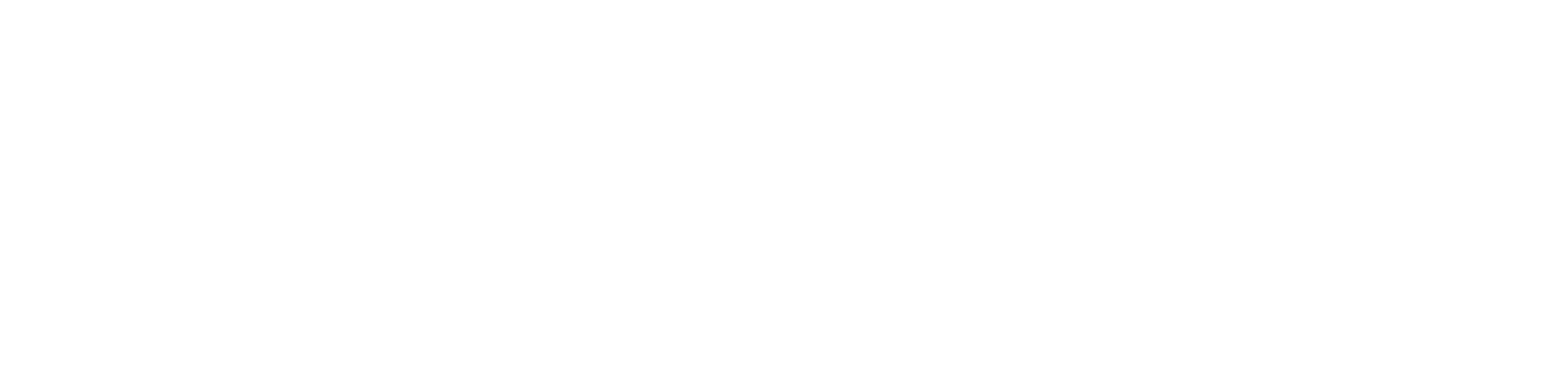 Prowise logo White